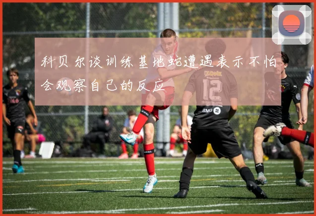 科贝尔谈训练基地蛇遭遇表示不怕会观察自己的反应